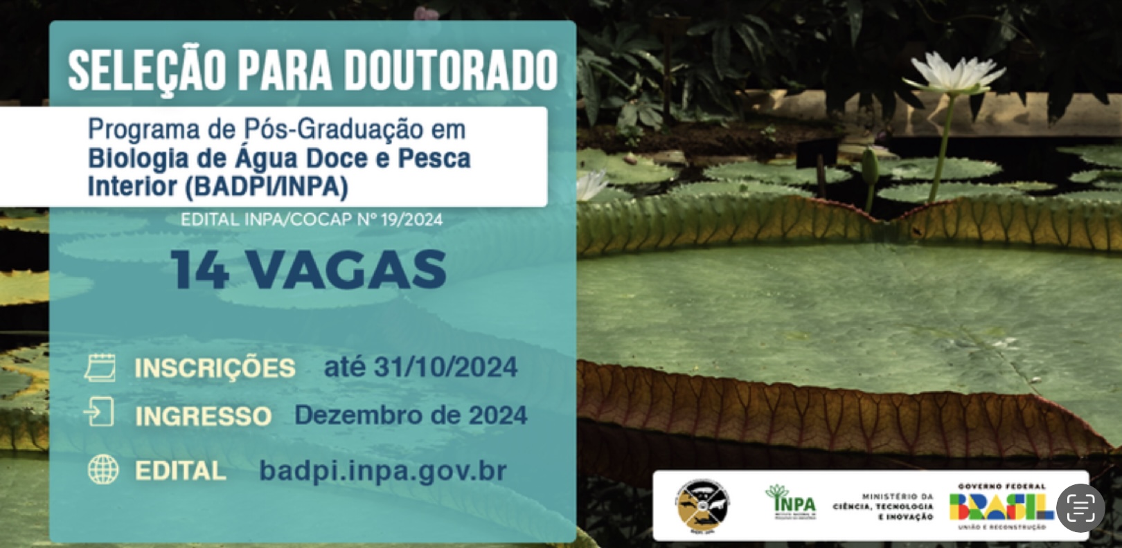 Inpa abre seleção para 14 vagas no doutorado em Biologia de Água Doce e Pesca Interior