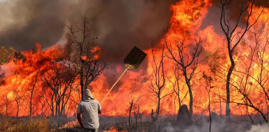 Por Matheus Leitão: O numero de inquéritos sobre queimadas no estado com mais incêndios