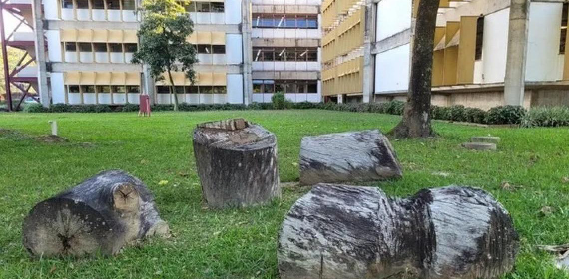 UFMG revitaliza monumento em homenagem a estudantes mortos pela ditadura militar