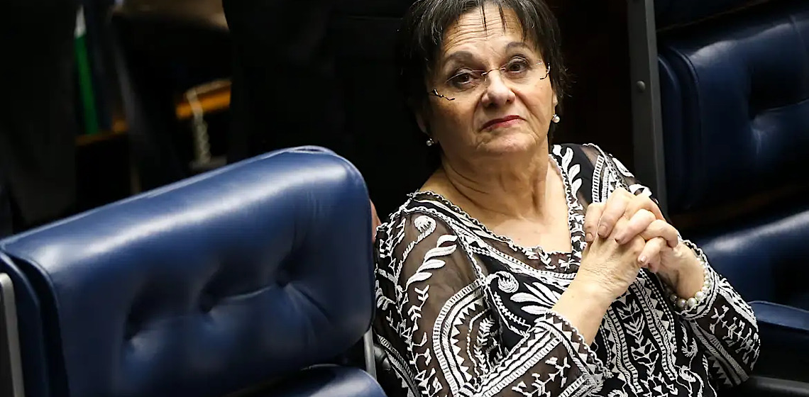 Exposição Ânima reúne obras em homenagem à ativista Maria da Penha