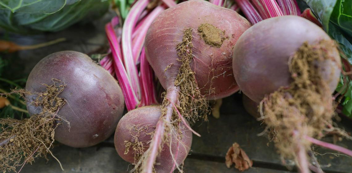 Programas fortalecem pequenos produtores e a segurança alimentar no DF