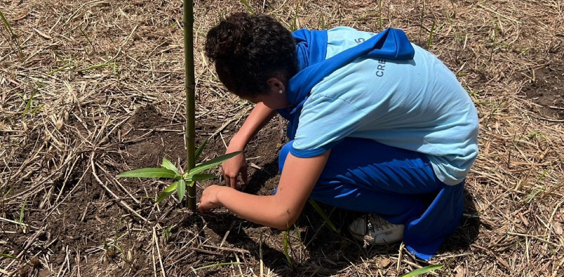 Produtor de Água Mirim: estudantes do Distrito Federal plantam mudas de espécies nativas do Cerrado