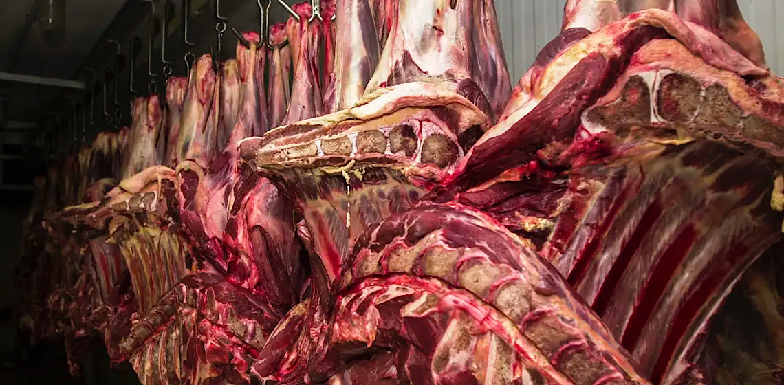 Exportação de carne para União Europeia responde por 3% do que o Brasil vende