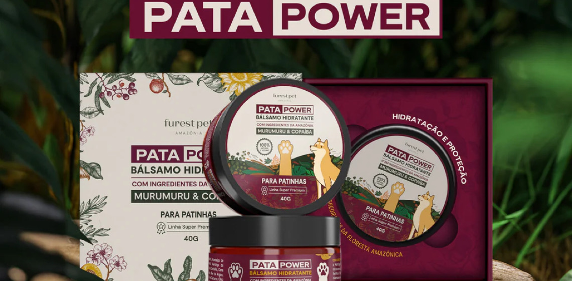 Prevenção: Altas temperaturas pedem atenção às patas dos cães