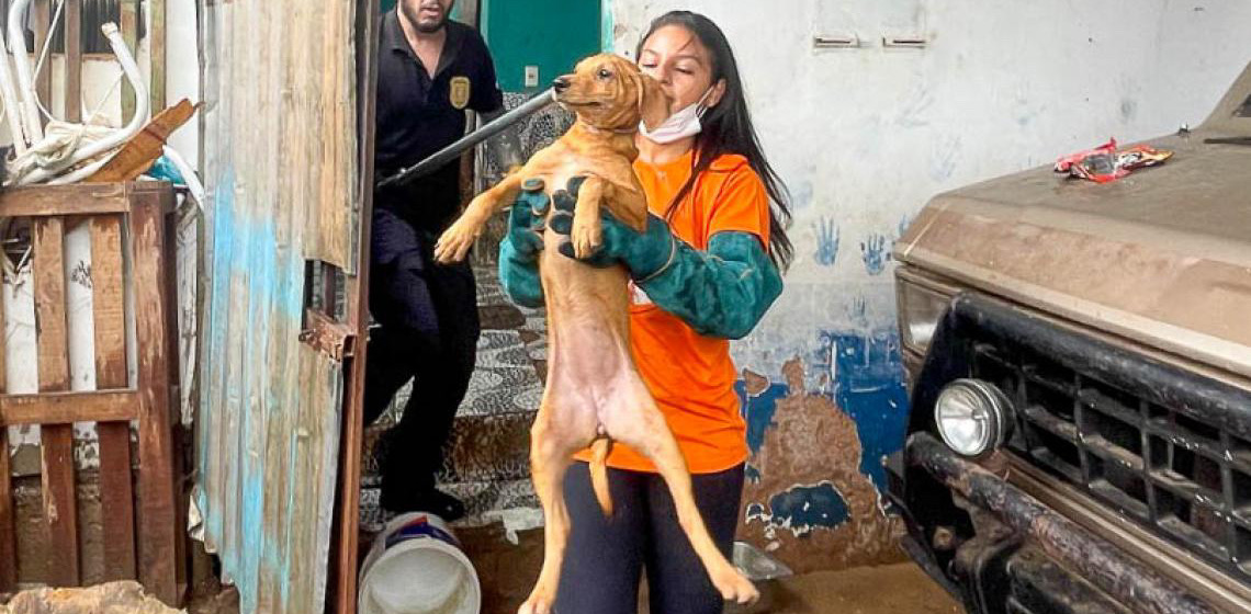 Operação do GDF resgata cerca de 100 cães em condições insalubres em residência na Candangolândia