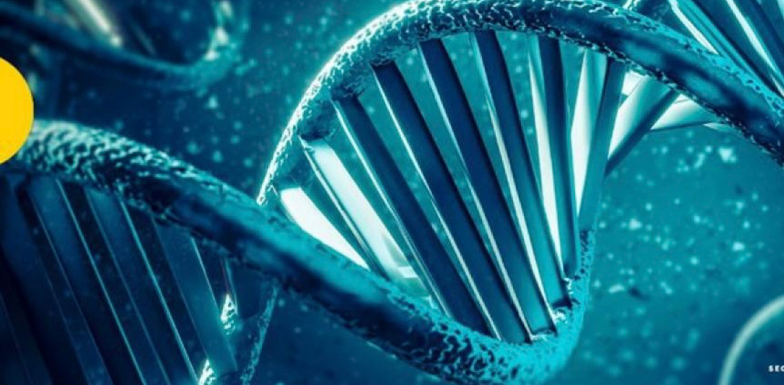 Brasil lidera inserção de perfis de DNA em base da Interpol para identificar desaparecidos