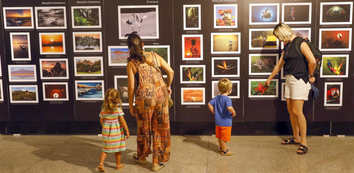 Museu de Arte de Brasília tem programação especial gratuita para crianças em fevereiro