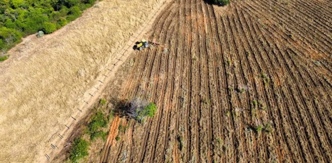 Conheça programa agroecológico do MST que vem recuperando a bacia do rio Doce