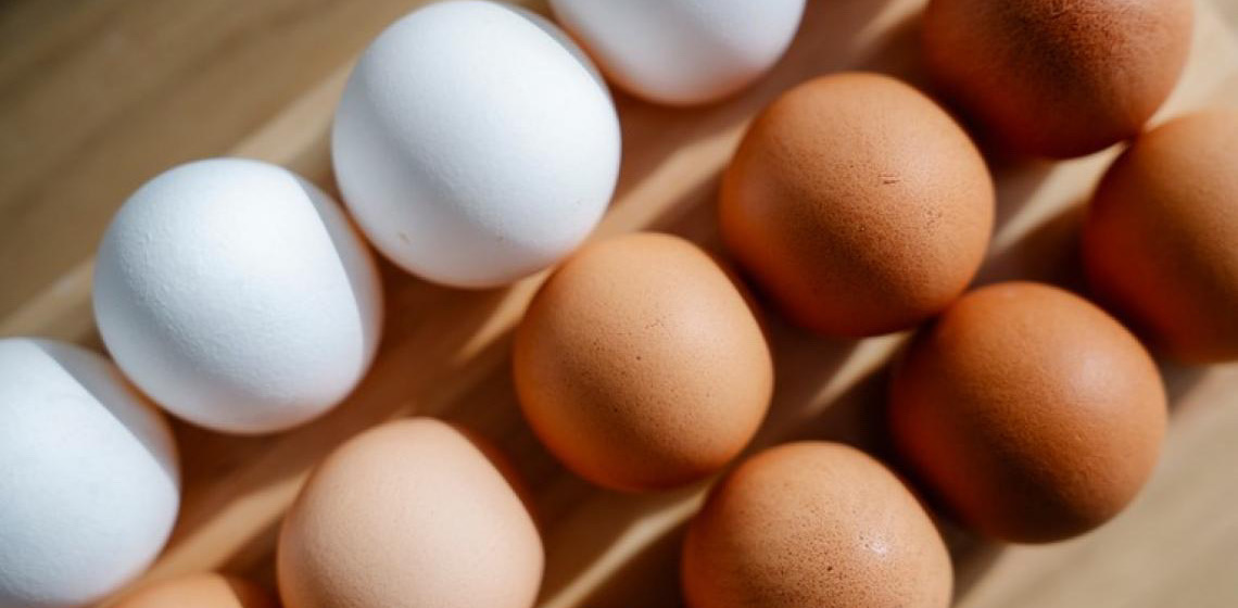Portaria sobre ovos de consumo representa avanço e segurança para o setor produtivo