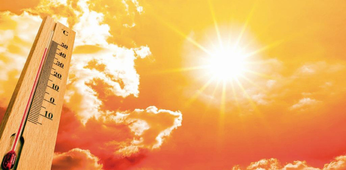 Temperatura: Calor extremo desafia o agronegócio brasileiro
