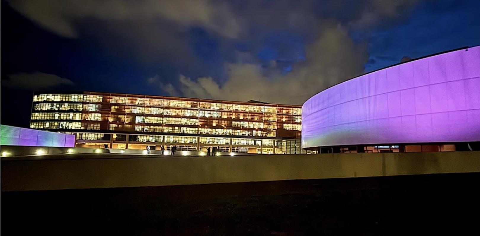 Câmara Legislativa do DF ilumina prédio em apoio às pessoas com doenças raras