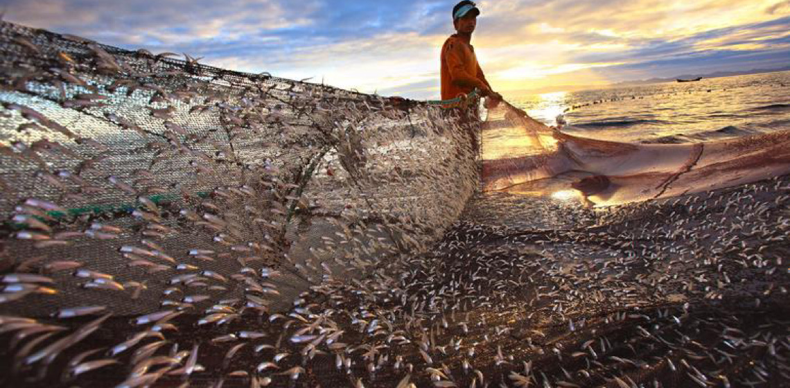 ONU revela que crescimento da economia oceânica está sob risco