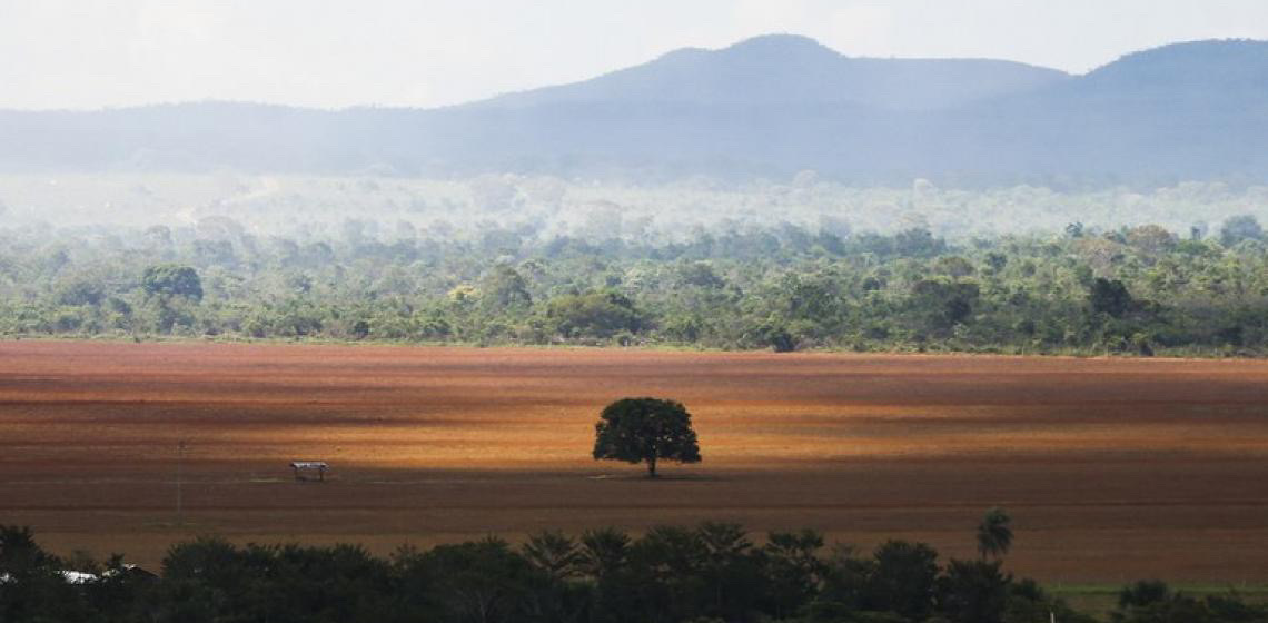 Governo cobra de infratores ambientais recuperação de 6,8 mil hectares em 5 biomas