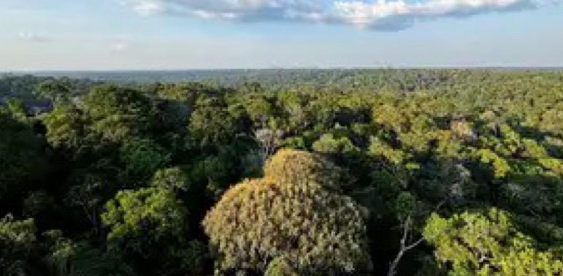 Fundo da Amazônia terá contribuição de R$ 91 milhões da Irlanda 