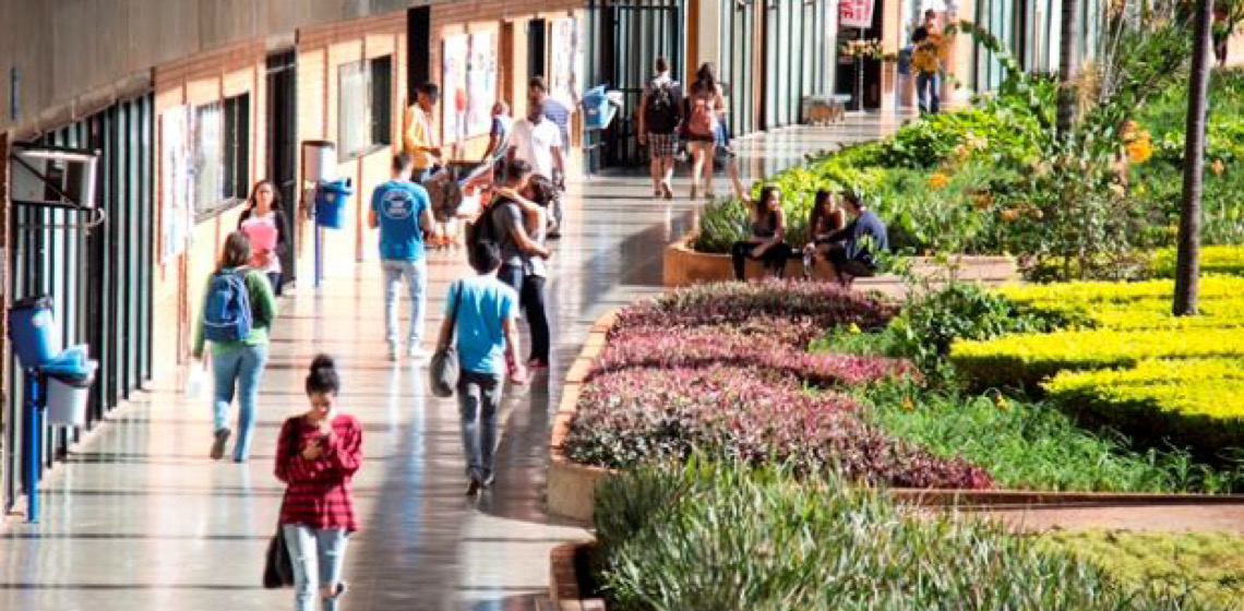 Universidade de Brasília atinge recorde em subáreas ranqueadas entre as melhores do mundo