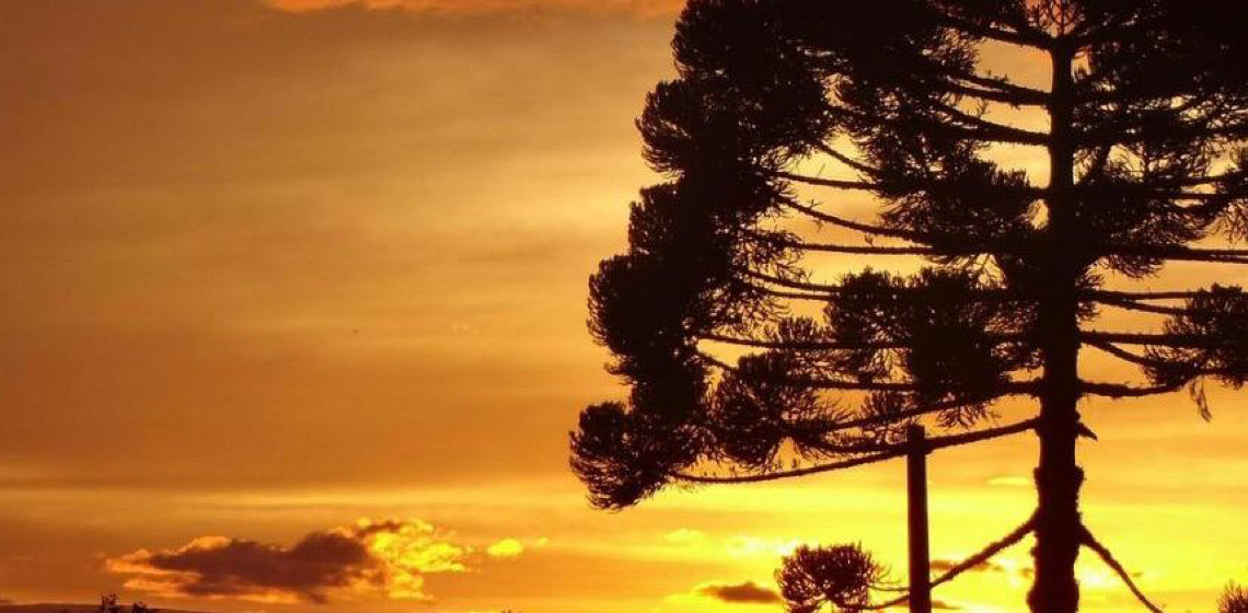 Contexto Ambiental