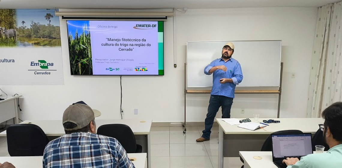 Extensionistas da Emater-DF participam de oficina sobre cultivo de trigo no Cerrado