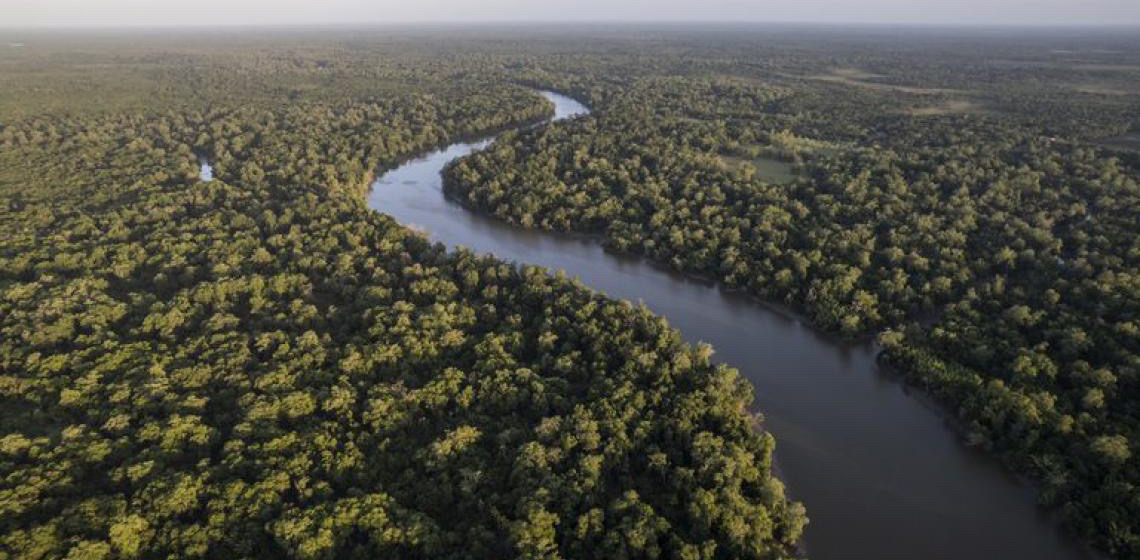 Petrobras e BNDES vão recuperar 50 mil hectares na Amazônia e gerar créditos de carbono