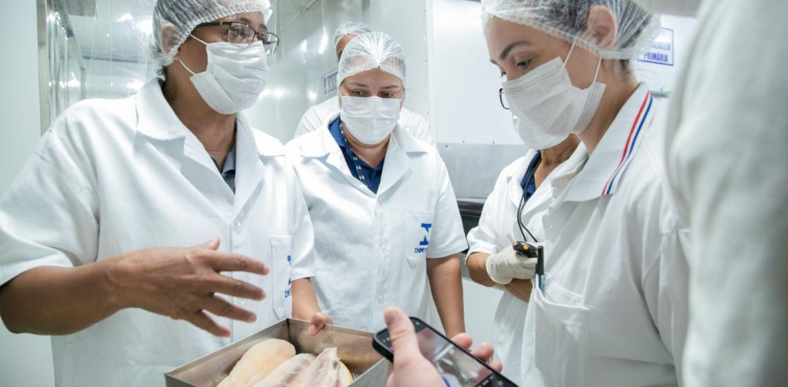 Operação verifica origem e condições de pescados comercializados no Distrito Federal