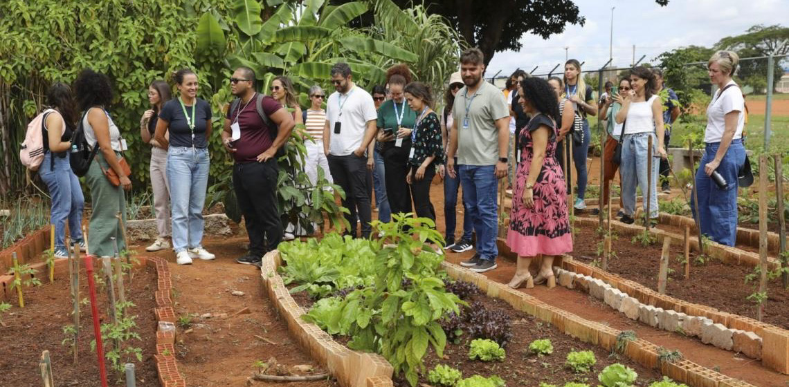 Visitas técnicas reconhecem boas práticas de segurança alimentar no DF