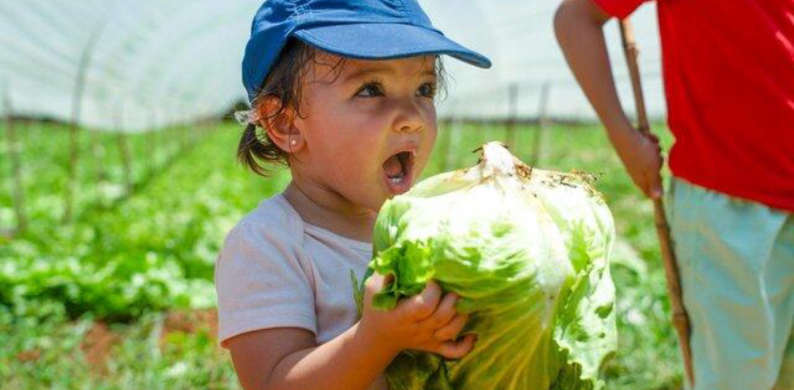 Fazenda Malunga, tem turismo rural e visitas guiadas a poucos quilômetros de Brasília