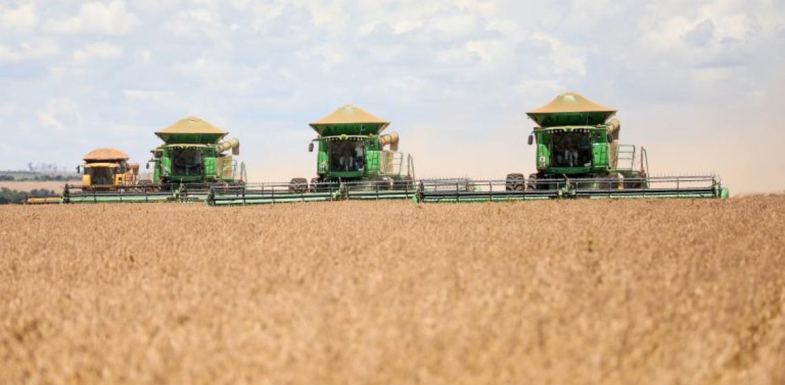 Relatório de Informações Agropecuárias do DF 2024 destaca produção regional diversificada