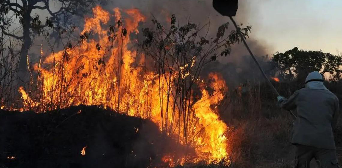 Queimadas: Ibama multa 242 pessoas por incêndios criminosos em 2024