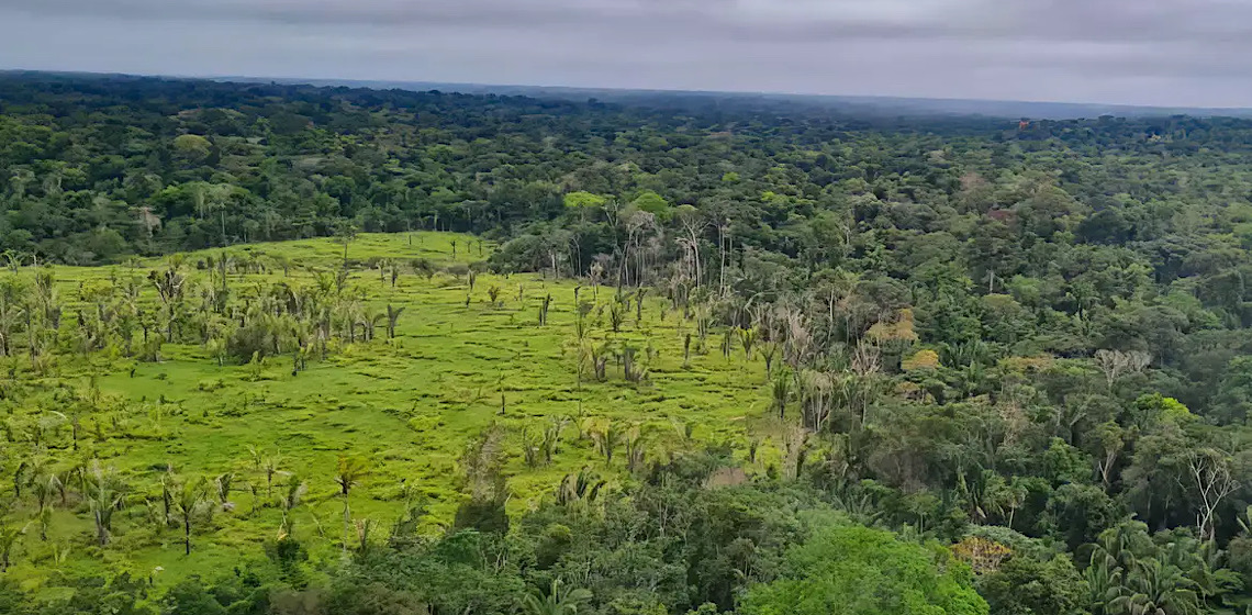 Brasil desmatará 46 campos de futebol por mês para suprir carros elétricos da UE
