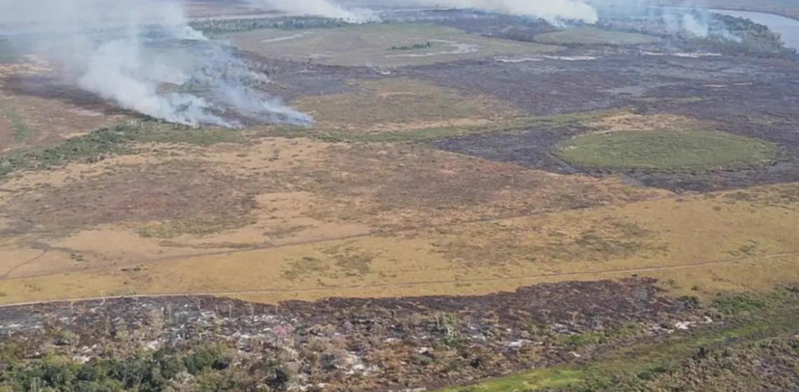 Amazônia: alerta de desmatamento cresce e mobiliza governo federal