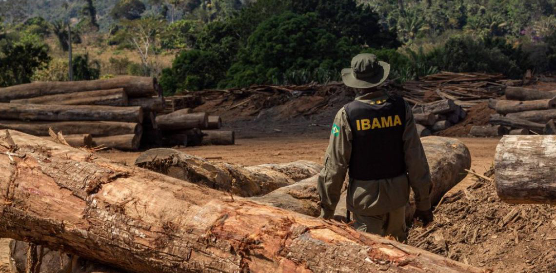 Mega-ação do Ibama contra desmatamento revolta ruralistas, e Helder aciona Planalto