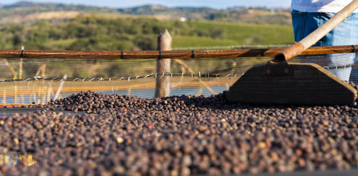 Luckin Coffee trará mais café brasileiro de alta qualidade aos consumidores chineses