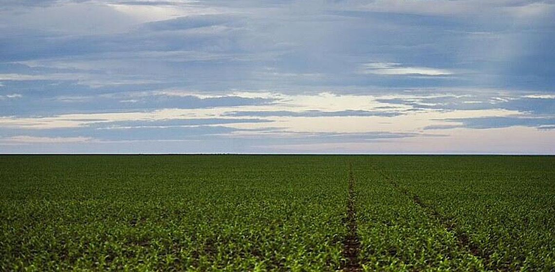Agro brasileiro bate recorde e movimenta US$ 52,7 bi nos 4 primeiros meses de 2025