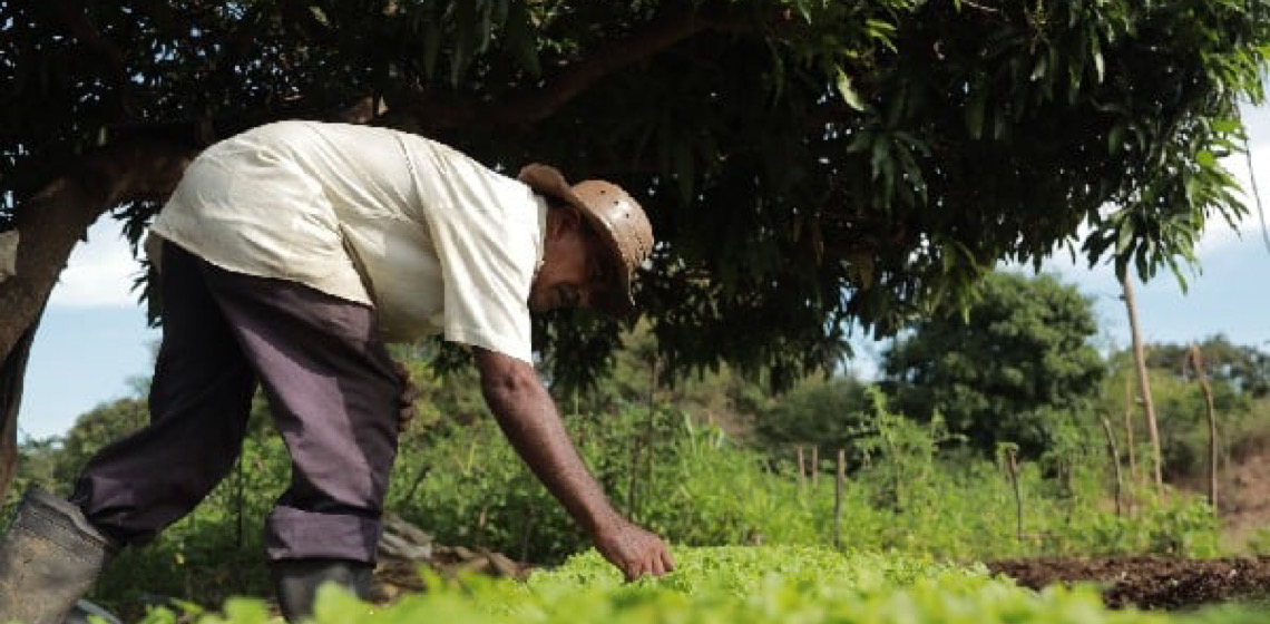 Agro & Negócios