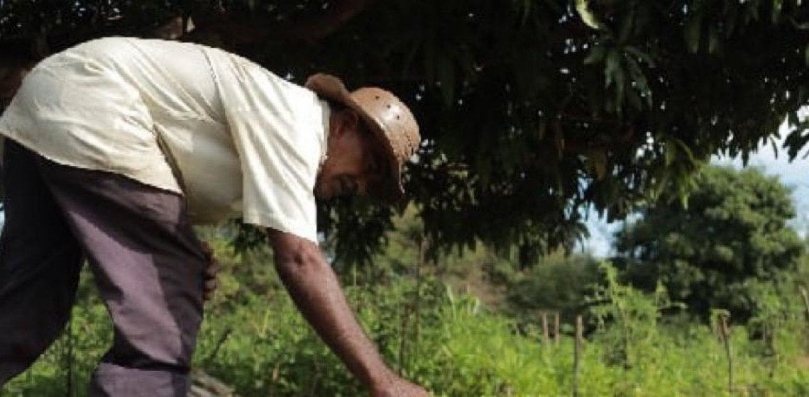 Fecomércio lança edital para fortalecer cooperativas da agricultura familiar no Ceará