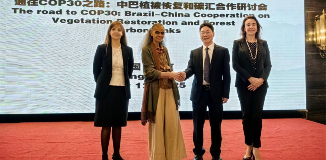 Países do Sul Global devem se unir para acelerar compromissos rumo à COP30