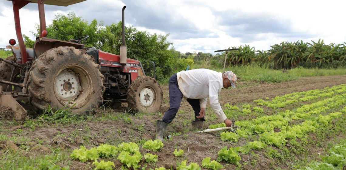 Produtores rurais contam com novo programa de renegociação de dívidas