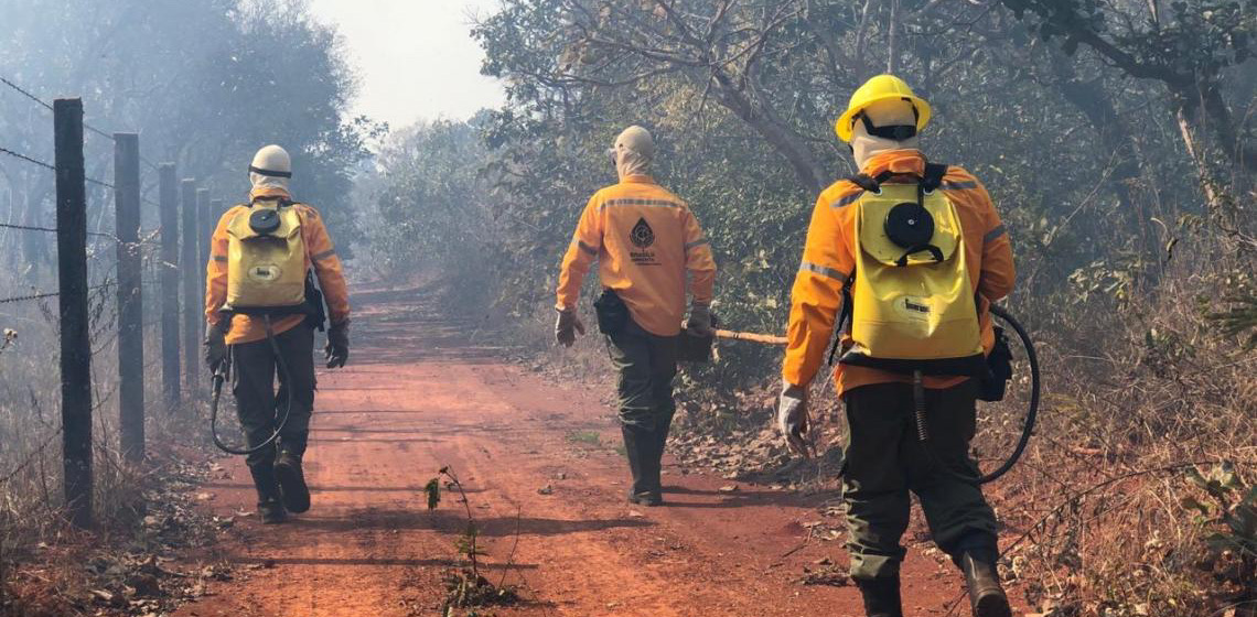 Lançado edital para contratação temporária de 150 brigadistas florestais