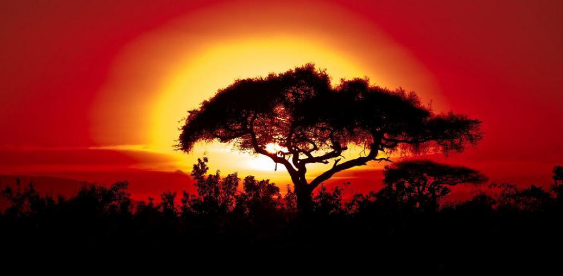 Temperatura extrema e mudança climática afetam África de forma mais árdua
