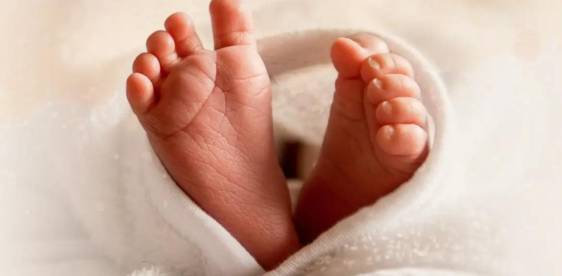 Em cenário de queda de nascimentos, cresce maternidade entre mulheres com mais de 30