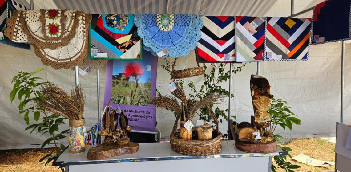 Estande na AgroBrasília 2025 incentiva participação feminina no agronegócio