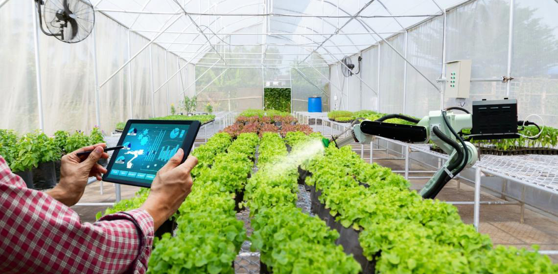 AgroHack Ideias 2025: segunda edição da maratona que conecta inovação e agronegócio abre inscrições