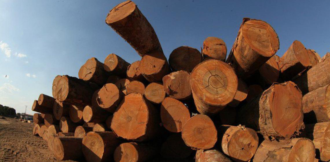 Fundo Clima apoiará projeto de secagem de madeira na Amazônia