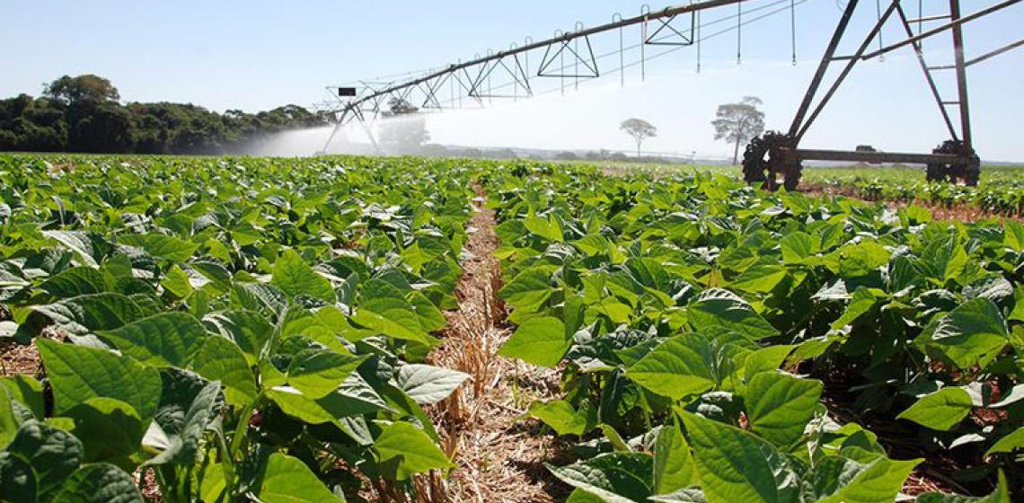 Mapa nacional mostra onde há maior potencial para agricultura no Brasil