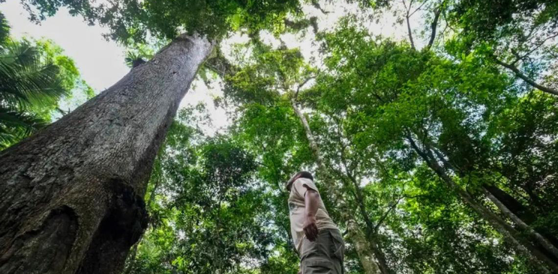 Conheça destinos sustentáveis em um dos biomas mais ricos do mundo