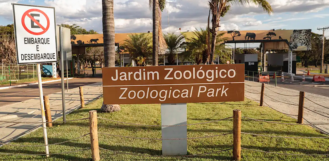 Zoológico de Brasília é fechado após suspeita de gripe aviária 