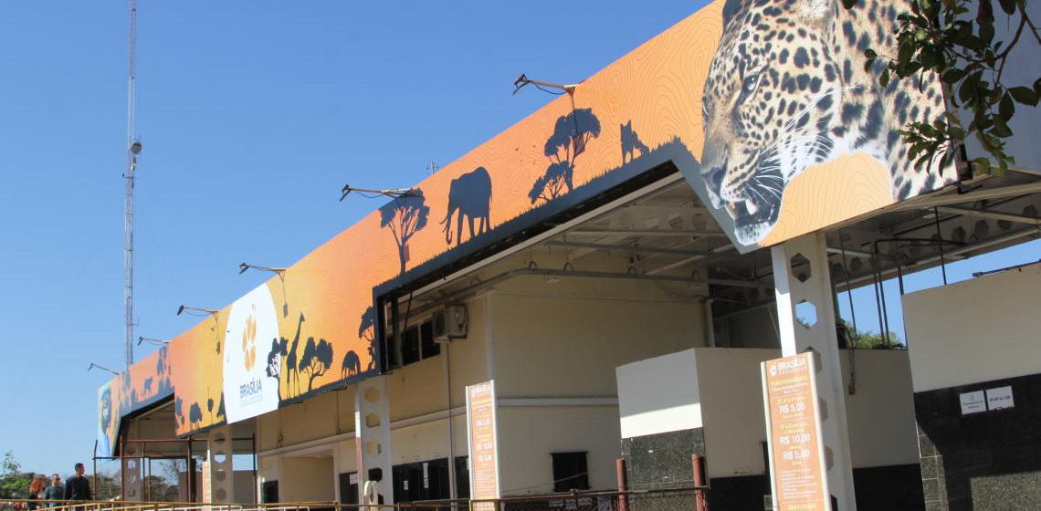 Vigilância de aves após interdição temporária do Zoológico de Brasília é intensificada