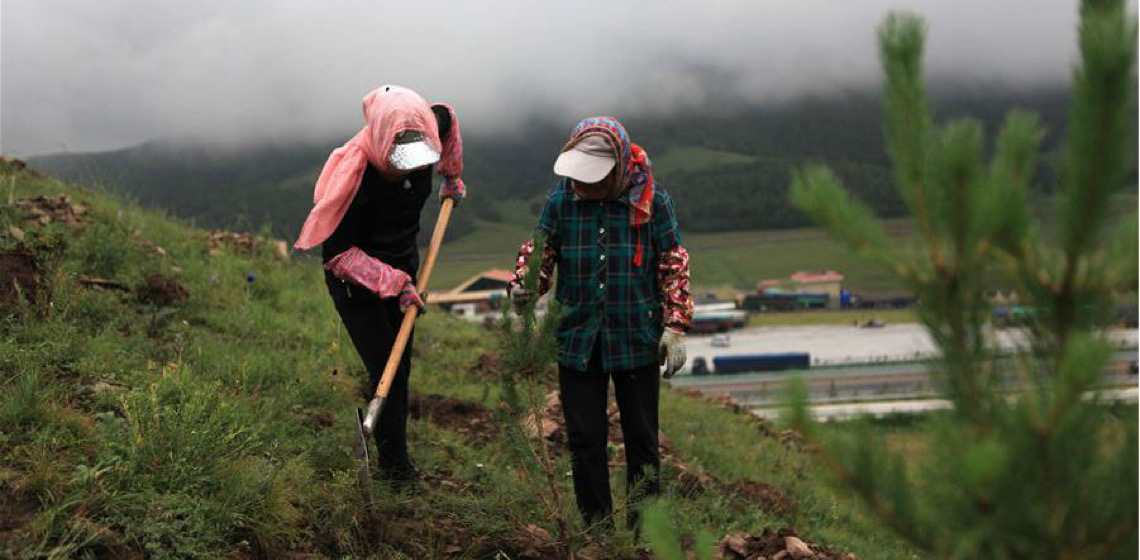 Documentarista registra como população reflorestou desertos na China
