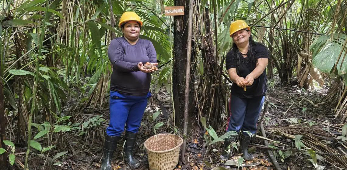 Mulheres extrativistas enfrentam preconceito e geram renda na Amazônia