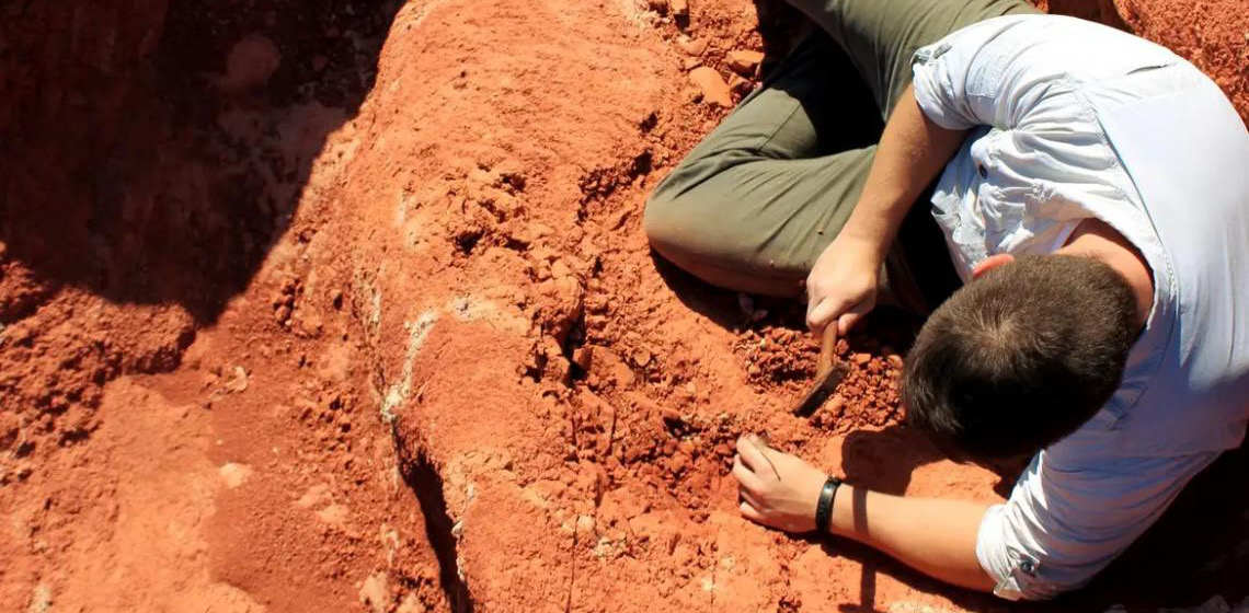 Fóssil descoberto no Brasil lança luz sobre origem dos dinossauros
