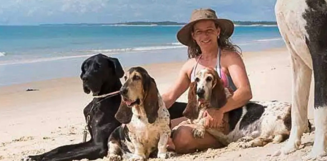 Hotel para animais deve oferecer carinho e segurança